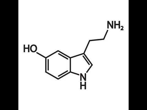SEROTONIN DOPAMINE TECHNO MIX