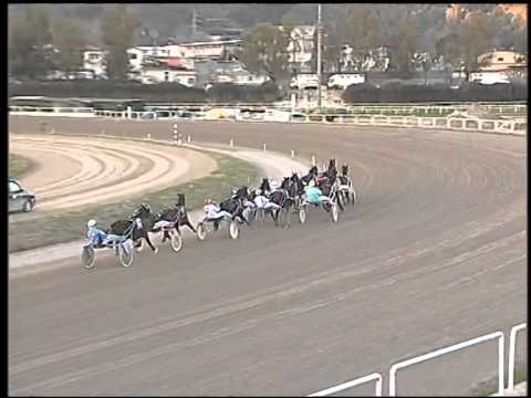 Trotto 13/01/2015 - 4° corsa