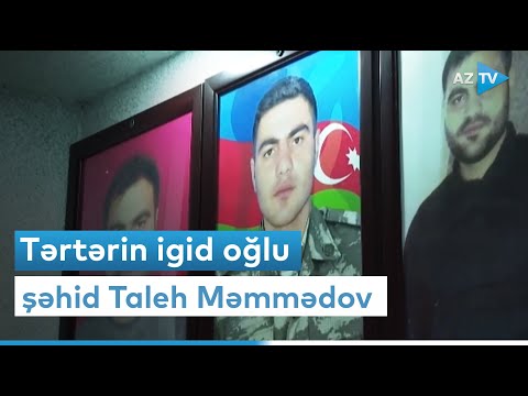 Tərtərin igid oğlu - şəhid Taleh Məmmədov
