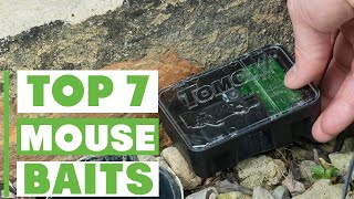 7 Best Mouse Baits You Need to Try