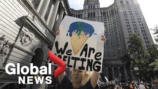Youth rally around the world in global climate strike