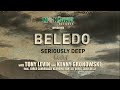 BELEDO - Seriously Deep (Medley) feat. Tony Levin, Kenny Grohowski  /  beledo-moonjune.bandcamp.com