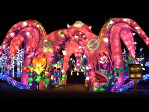 Magical Winter Lights 2018 Houston (Luces Magicas de Houston)