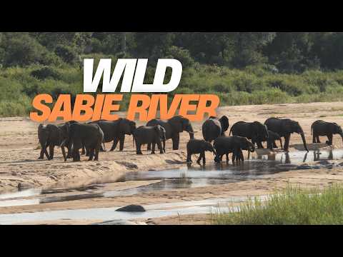 Sabie River, a Night in Skukuza & a New Mission