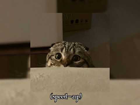 Gel ey gözlerim(speed up)