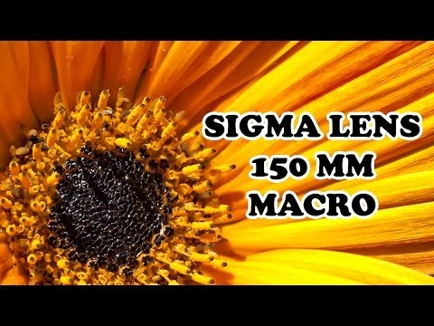 sigma 150 mm macro lens