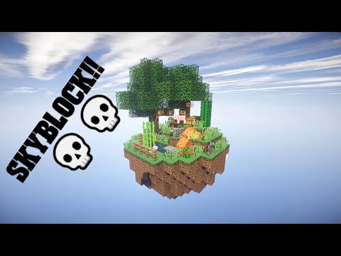 SKYBLOCK MINECRAFT: First Day Adventures 😵💀😎