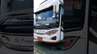 Download lagu Cinematic bus po haryanto 065 paradise mp3 Download lagu Cinematic bus po haryanto 065 paradise mp3