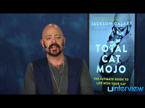 Jackson Galaxy Answers Fan Questions, Give Cat Training Tips