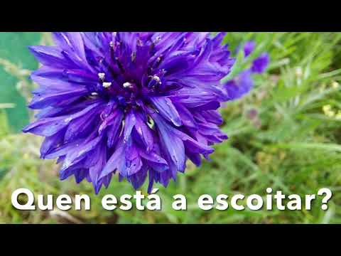 Exhale Inhale Aurora Aksnes Music  (Galician Language )  Cover by P.Suanzes