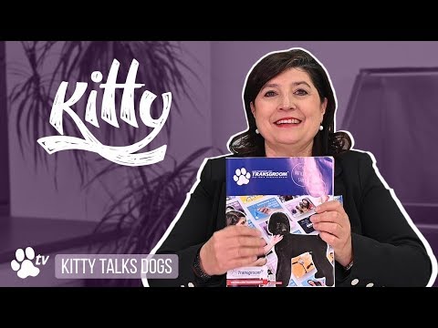 Kitty's dog grooming journey | Kitty Talks Dogs - TRANSGROOM