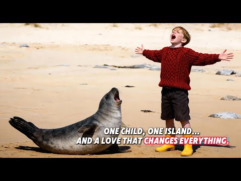 A Shine of Rainbows — A Heartwarming Tale of Belonging, Healing, and the Magic of Family