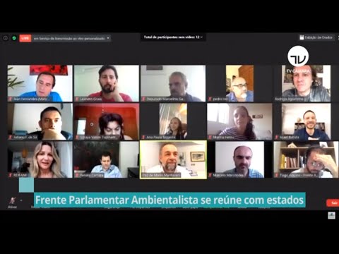 Frente Parlamentar Ambientalista se reúne com deputados estaduais e distritais- 22/07/20