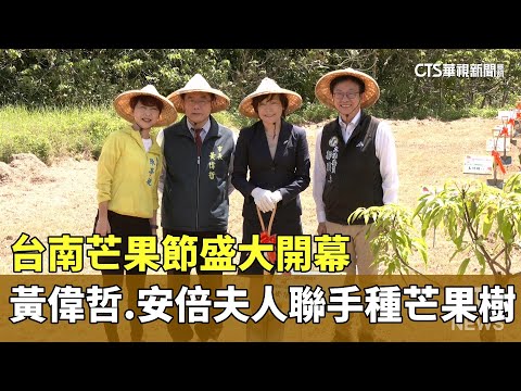 台南芒果節盛大開幕　黃偉哲.安倍夫人聯手種芒果樹