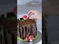 Making Another Nature Cake Cake Shorts Baking