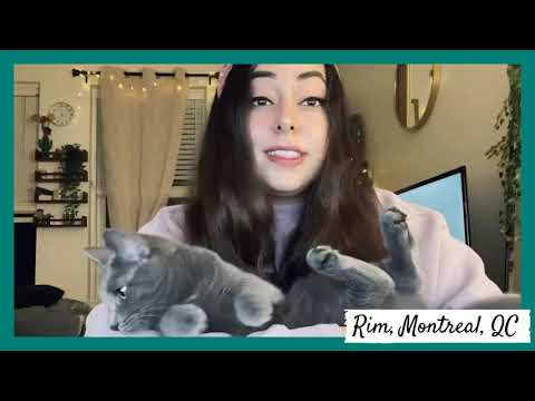 National Pet Food Bank Program