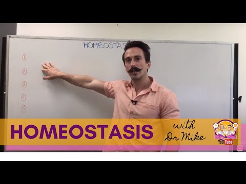 Homeostasis