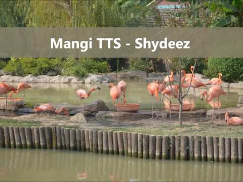 Mangi TTS - Shydeez