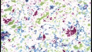 The Legendary Pink Dots - Cherry Lipstick / It's Raining Again