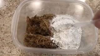 Digging in and Reconstructing Fossils - Lesson 4