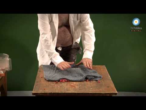 Peter Capusotto - HD - 7º temporada - Pizzería los HDP - 05-11-12