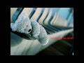 Jackie Wilson - To be loved - lyrics 