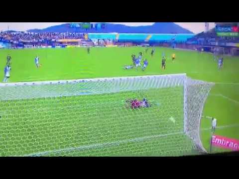 Gol Alex Santana Botafogo 1 X 0 Avai