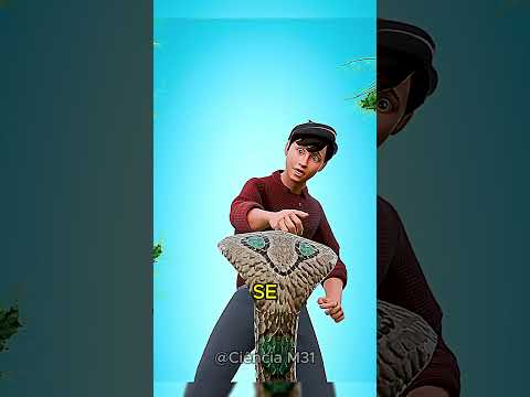 How to Escape from a Venomous Snake? 😬#curiosities #curiosity #facts #didyouknow