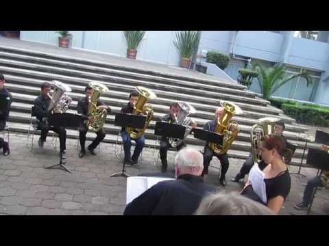 Enrique Crespo Bruckner Etude