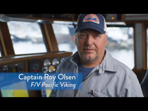 MEET OUR CAPTAINS: Captain Roy Olsen -  F/V Pacific Viking