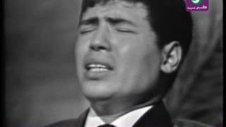 كلمات اغنية متستاهلش الحب ابو بكر سالم بلفقيه