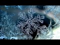Brainstorm - Colder