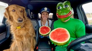 Download lagu Frog Surprises Puppy & Police with Car Ride Chase mp3