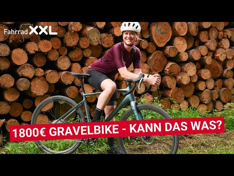 The perfect entry-level gravel bike: Carver Gravel 230 – an alternative to Cube?