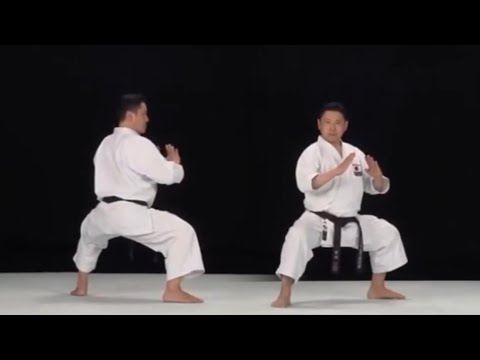 Seiyunchin Kata Instructional