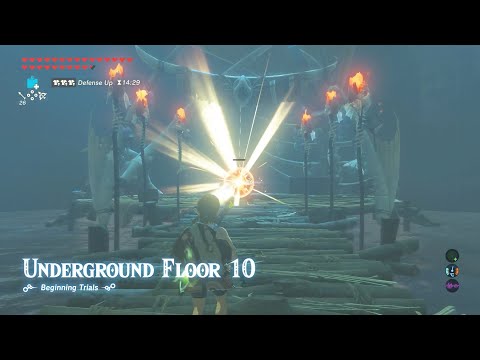 Legend of Zelda: Breath of the Wild - Trial of the Sword - Floor 10 (Beginning Trials)