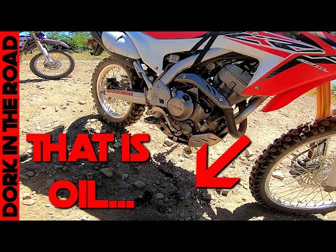 The Day the Honda CRF250L Died...My Daughter Breaks an 'Unbreakable' Dual Sport Motorcycle