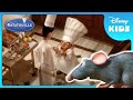 ‍ Chef Remy Gone Wild Ratatouille Disney Kids