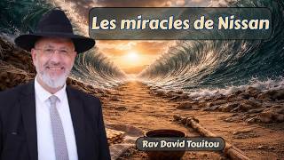 Les miracles de Nissan