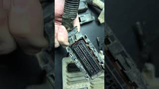Pin 50 ECM Check For Fuel System Control Module