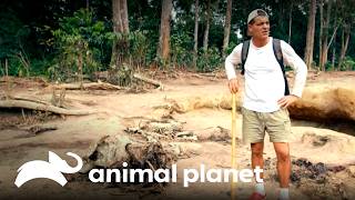 Thumbnail del capítulo