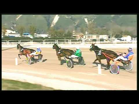 Trotto 09/02/2020 - 1ª corsa