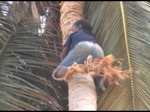 Pulonga'l Bita - Hino Santa Cruz Nhu barrage