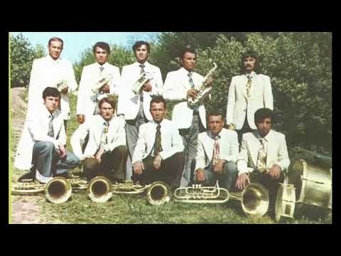 VLAŠKA PLEH MUZIKA - BRAĆA JOVANOVIĆ (VlaškiMelos)