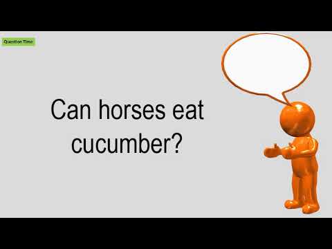 Can Horses Eat Cucumber?