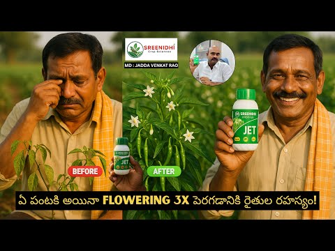 Best Flower Booster for Mirchi & All Crops – 3X Growth Guaranteed!