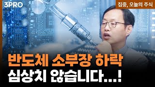 반도체 소부장 하락은 어떤 전조인가? | 김장열 유니스토리자산운용 본부장 [집중 오늘의 주식]