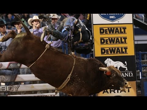 TOP BULL: Stone Sober puts up 46.75 points vs. Stormy Wing