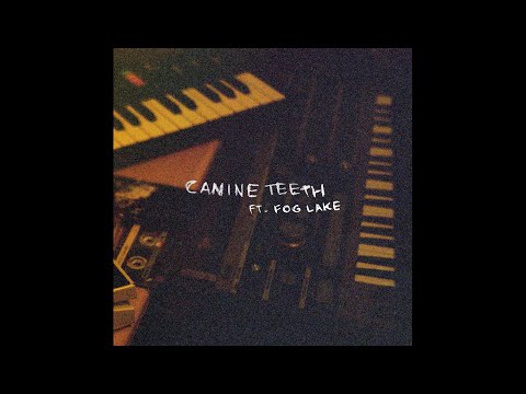 Video thumbnail for canine teeth