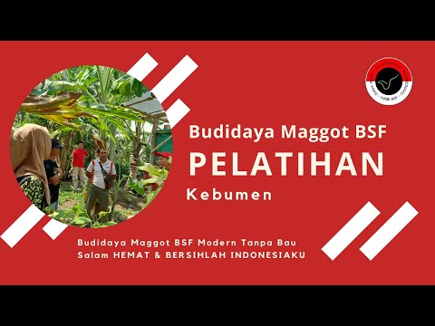 Bagaimana untuk mendapatkan penis yang mendalam kecil Untuk potensi mahasiswi